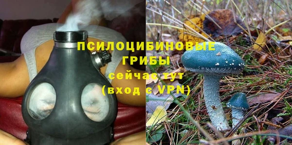 a pvp Алексин