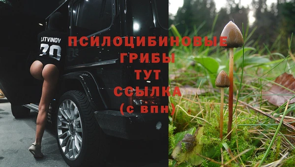 a pvp Алексин