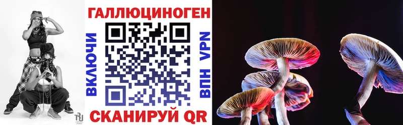 Галлюциногенные грибы прущие грибы  закладки  Тосно 