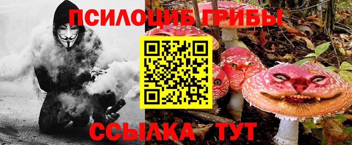 магазин продажи наркотиков  Вход с VPN  Тосно  Псилоцибиновые грибы Magic Shrooms 
