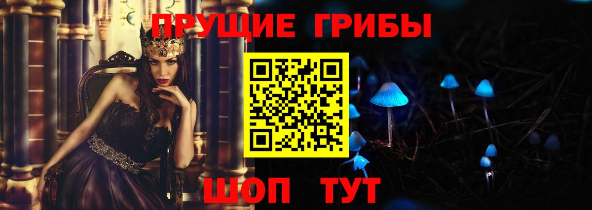 Галлюциногенные грибы Psilocybine cubensis Тосно